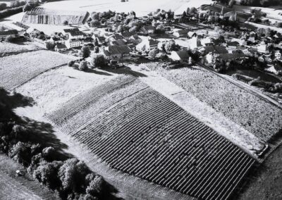 Colombier 2025